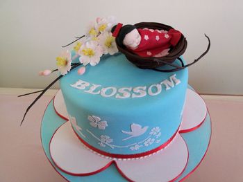 Christening or baby shower cake , Inspired by cherry blossoms against a bright blue sky. I won first place with it at our City's Show on the Weekend.