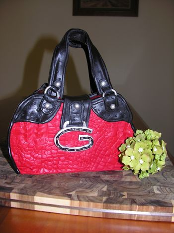 A reinvention of one of my daughter's favorite Guess handbags