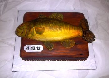 Thank you Mad Mike for your excellent tutorial - one little boy asked his mom why there was a dead fish on the table ;)