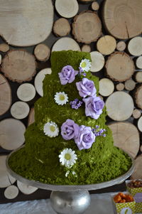 Moss cake with purple roses and daisies.
