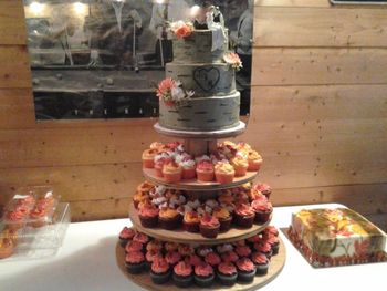 * Birch style wedding cake with fondant/gumpaste flowers and 144 cupcakes. my wonderful hubby made me the stand. Grooms cake is airbrushed mossy oak camo.