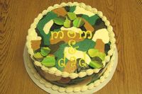 camo cake, just for practice, used Tappits letter cutters for the first time - worked perfectly.  Made modeling choc per Kristen Conairis book 'Cake decorating with modeling chocolate' for the leaves on top.