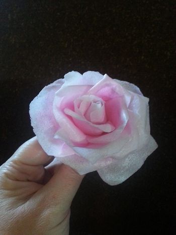 I get asked quite often if you can make a rose with wafer paper. The answer is yes......
