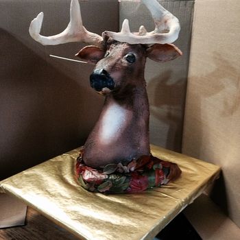 My grandson is an avid hunter and wanted a deer cake.  Thanks to the ideas shared on this website, this is what I came up with.   ps.  His ear was setting up, hence the stick in the head.