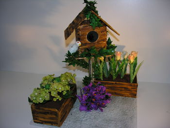 Birdhouse with tulips, hydrangers and bouganvilllia