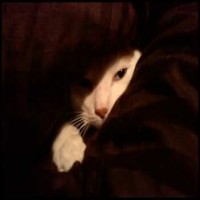 jennifer217412 profile picture