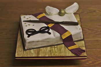 Chocolate cake shaped like a book with modelling chocolate Harry Potter decorations.